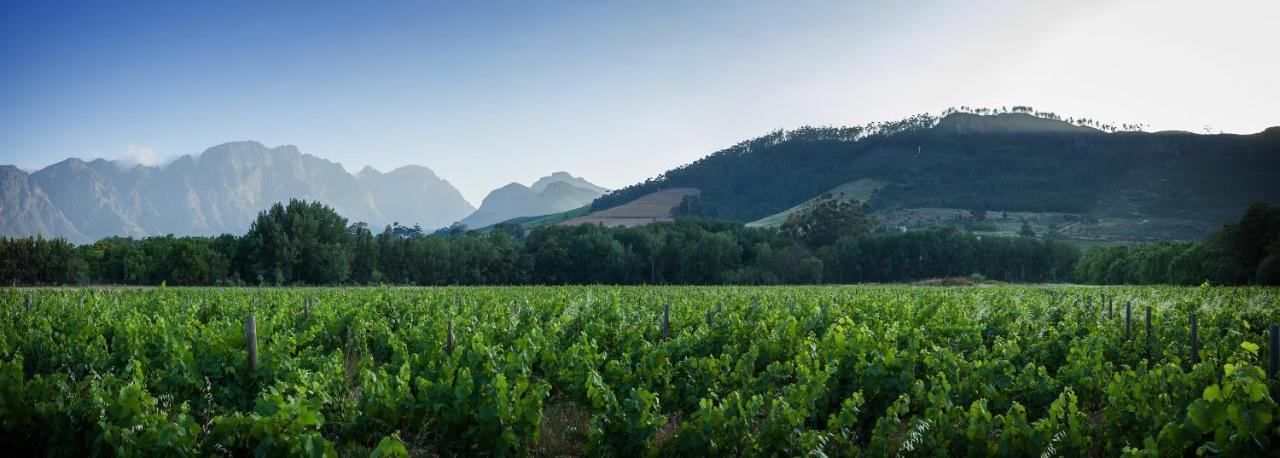 Gite Franschhoek Exterior foto